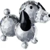 Dachshund Dog