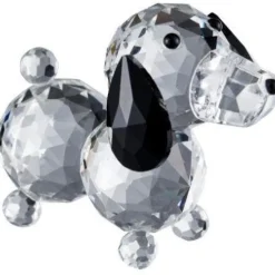 Dachshund Dog