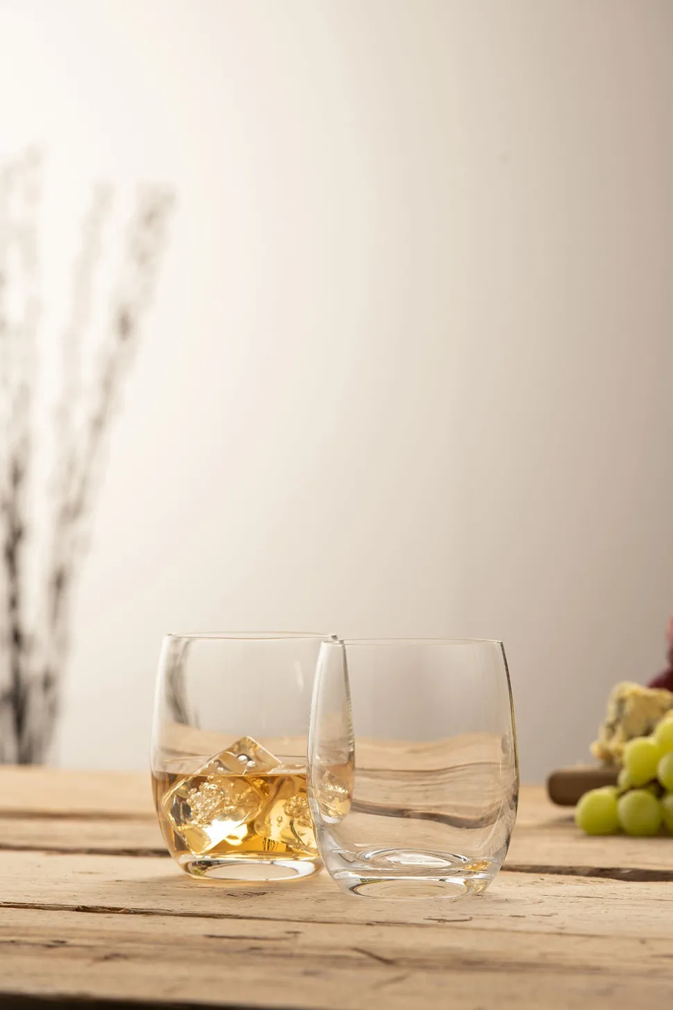 Elegance Tumbler Glass Pair