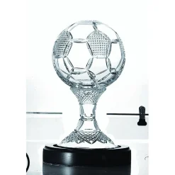 Engraved 8" Soccer Ball Trophy