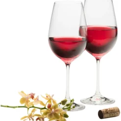 Engraved Elegance Red Glass Pair