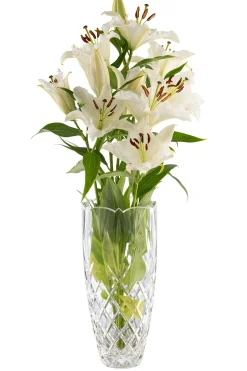 Renmore 12" Vase