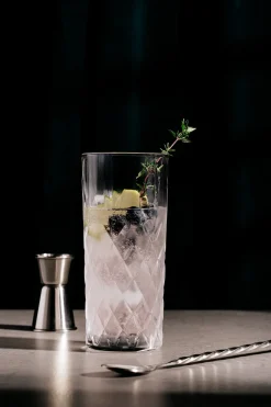 Renmore Hiball Glass Set of 4