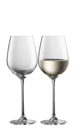 Solus Wine Set of 2